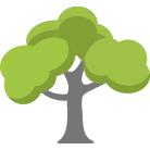 Waxhaw Tree Removal Service