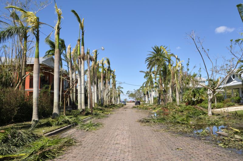 Clearing Debris from a Driveway