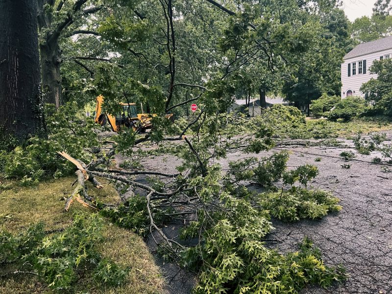 Storm Damage Tree on a Commercial Site