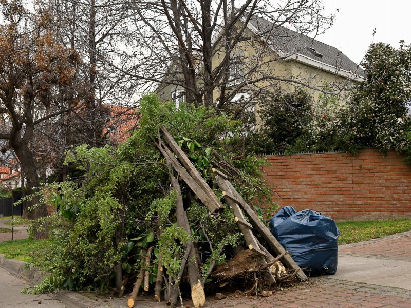 Residential Yard Cleanup