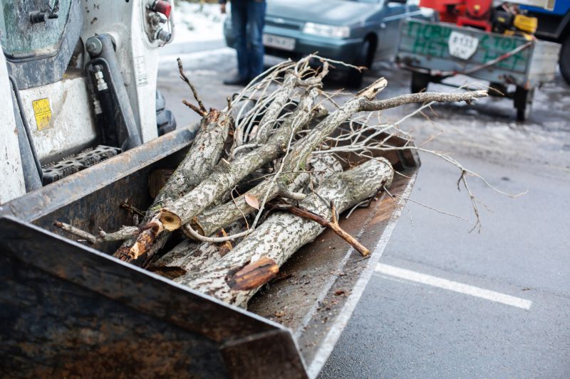 Tree Removal Truck