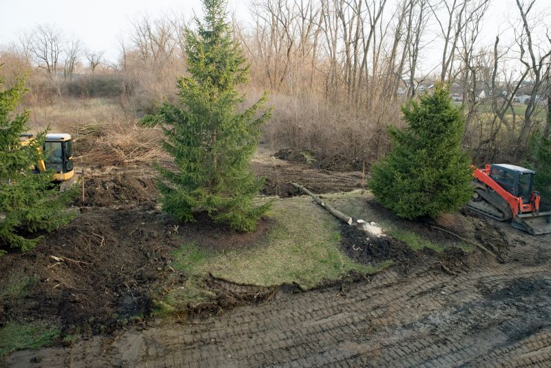 Tree Removal Equipment