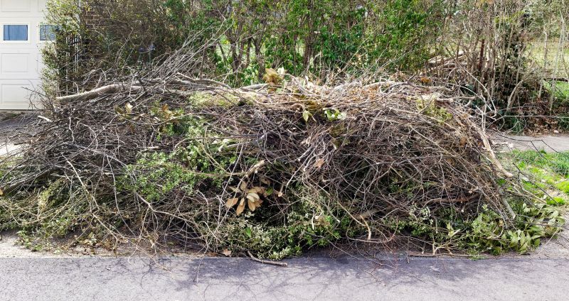Clearing Debris