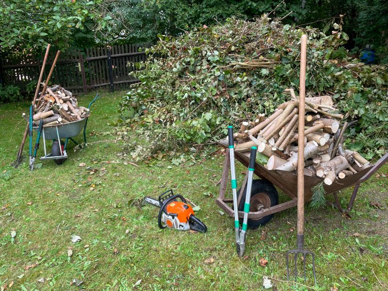 Cleanup After Removal